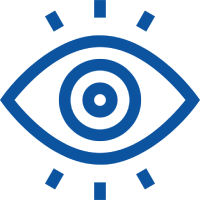 Vision