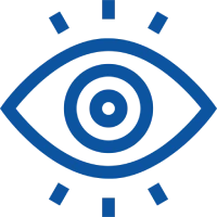 Vision